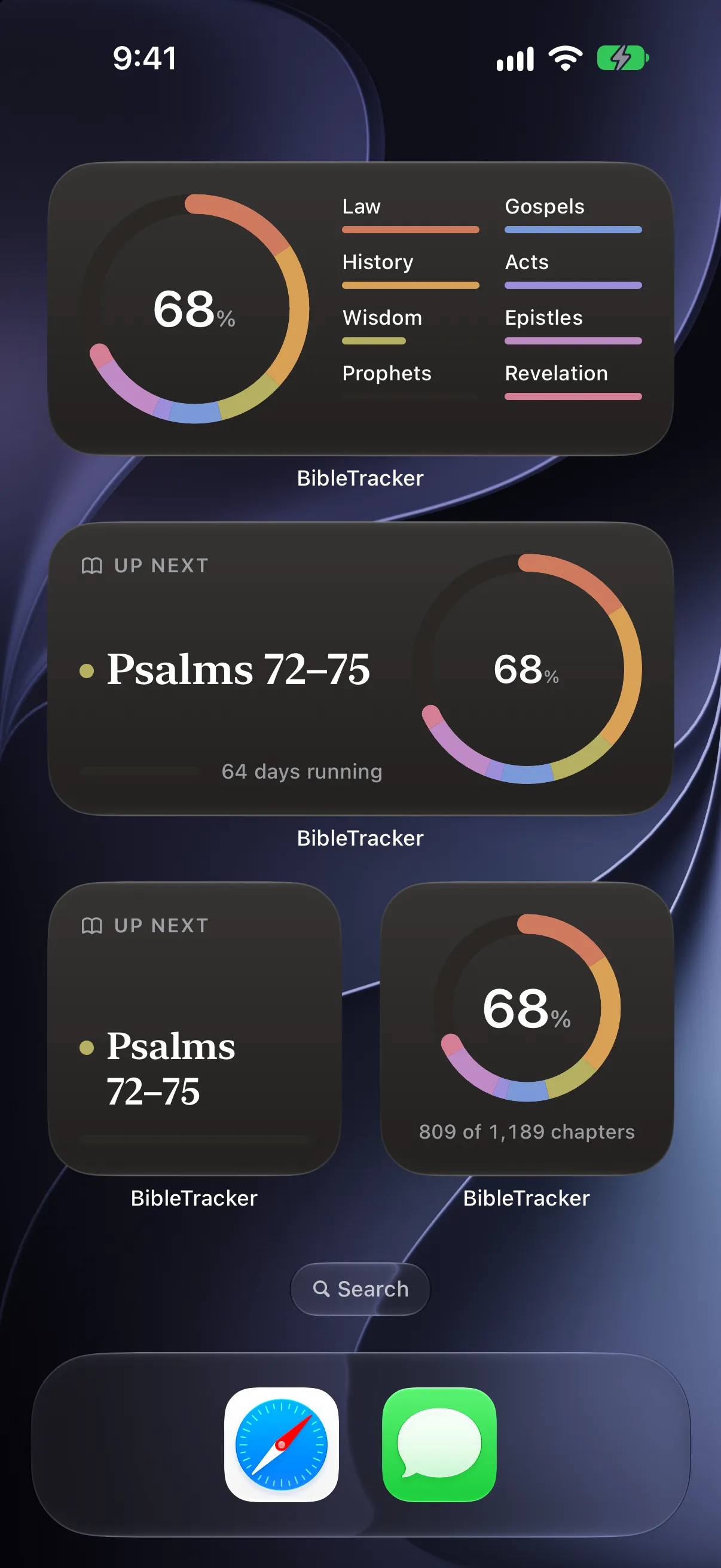 A Home Screen page with the four BibleRing widgets: the ring by division, Up next with the run, and the small pair.